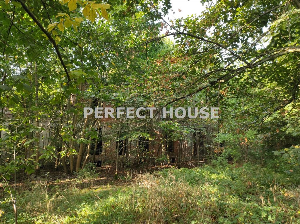 Ruiny pałacu z parkiem, potencjał na hotel lub dom weselny Kuźnica Czarnkowska  59 500m2 Foto 1