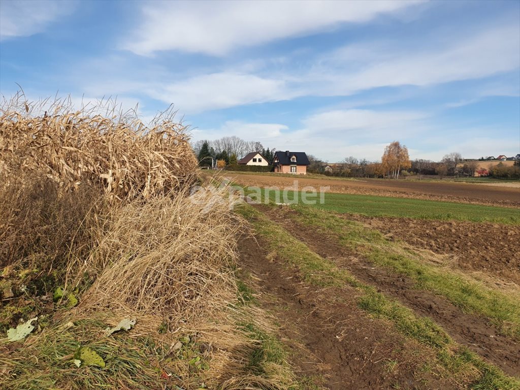 Działka siedliskowa na sprzedaż Kocmyrzów  8 800m2 Foto 3