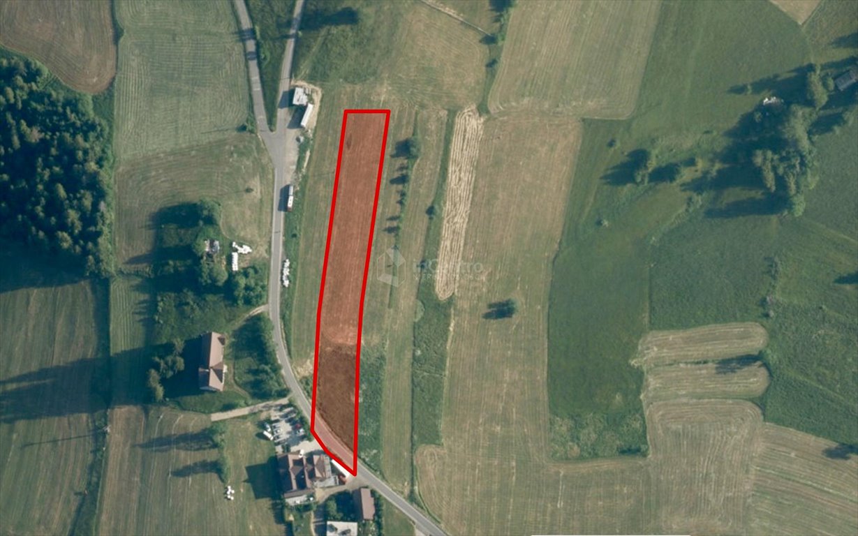 Działka budowlana na sprzedaż Gliczarów Górny  4 300m2 Foto 10