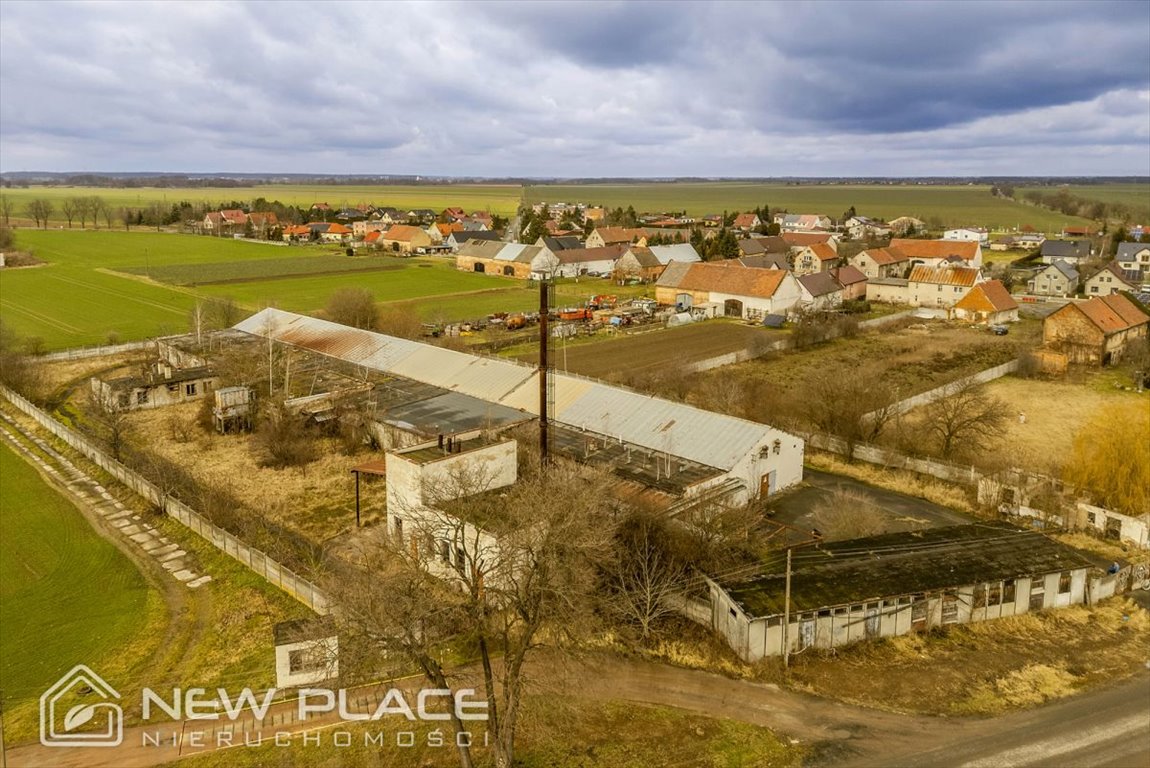 Magazyn na sprzedaż Jankowice Wielkie  2 052m2 Foto 8