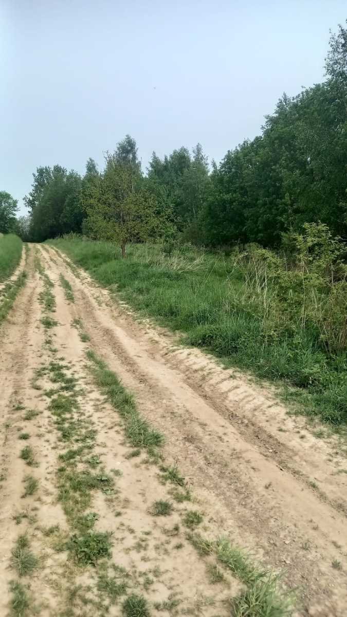 Działka gospodarstwo rolne na sprzedaż Stare Bogaczowice, Chwaliszów  26 500m2 Foto 5