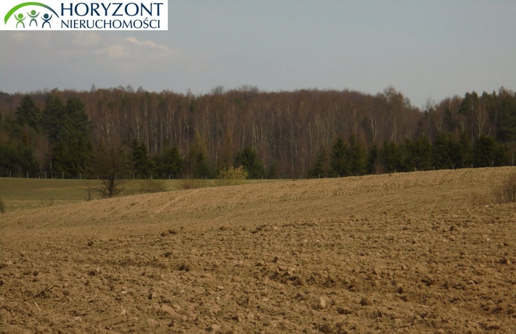 Działka 1,21 ha z widokiem na jezioro i możliwością budowy Grabowska Huta  12 165m2 Foto 1