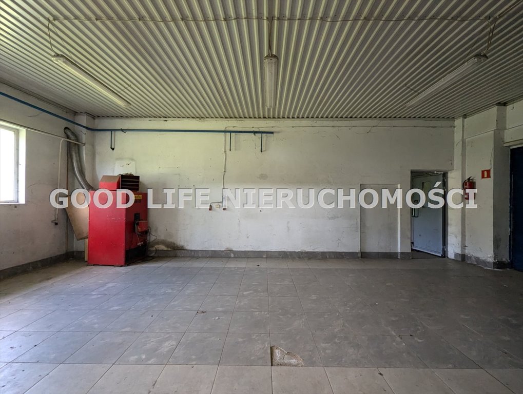 Lokal użytkowy na sprzedaż Dylągówka  1 600m2 Foto 7