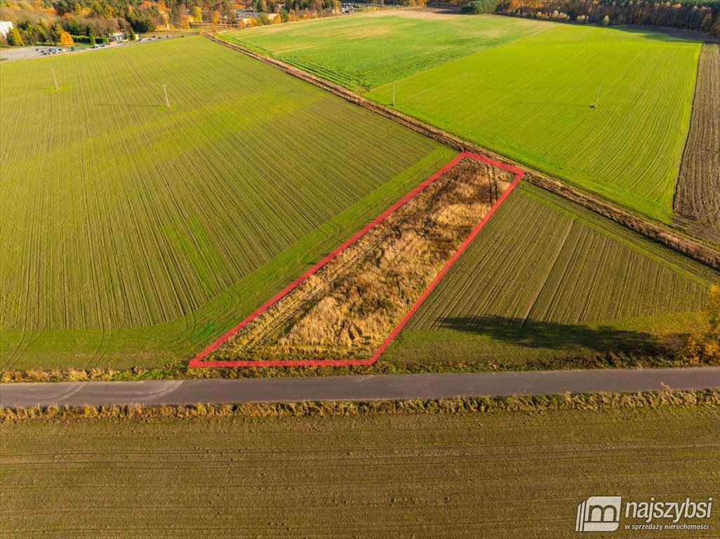 Działka rolna na sprzedaż Glewice, centrum  2 777m2 Foto 3