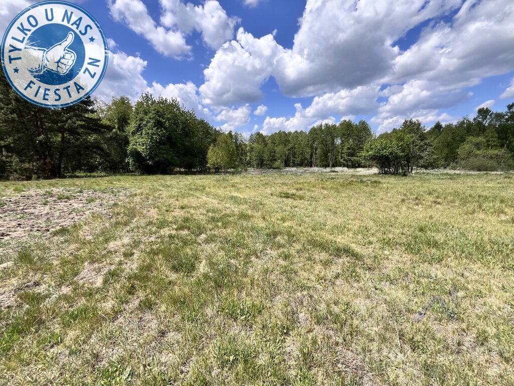 Działka w Maluszynie z warunkami zabudowy i dużym potencjałem Maluszyn  4 800m2 Foto 1