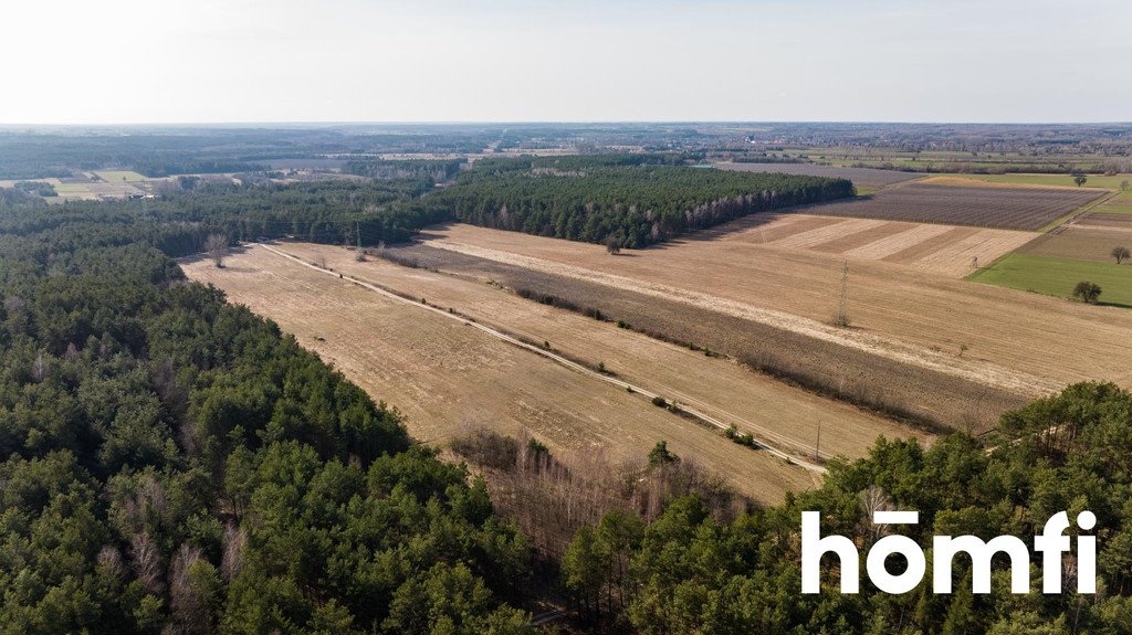 Działka rekreacyjna na sprzedaż Rogożek  140 000m2 Foto 1