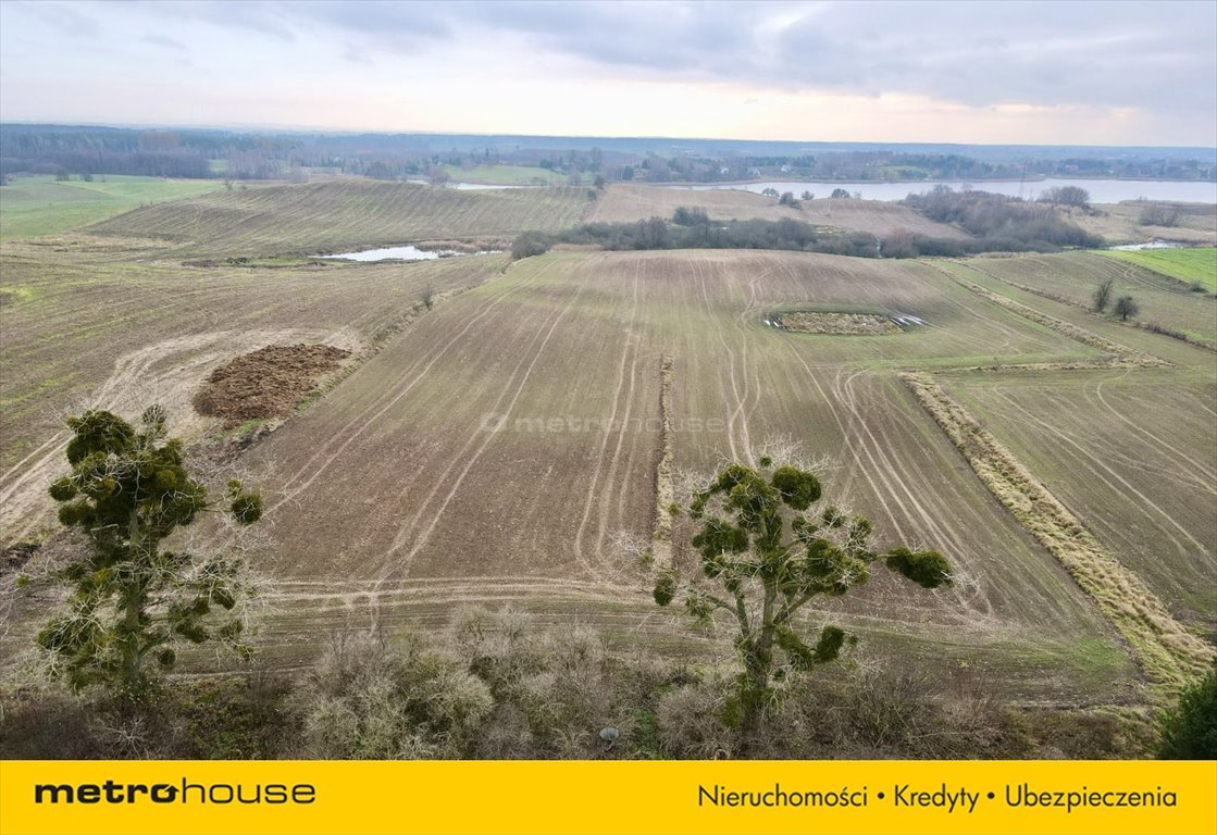 Działka budowlana na sprzedaż Nowa Wieś, Koralowa  1 200m2 Foto 3