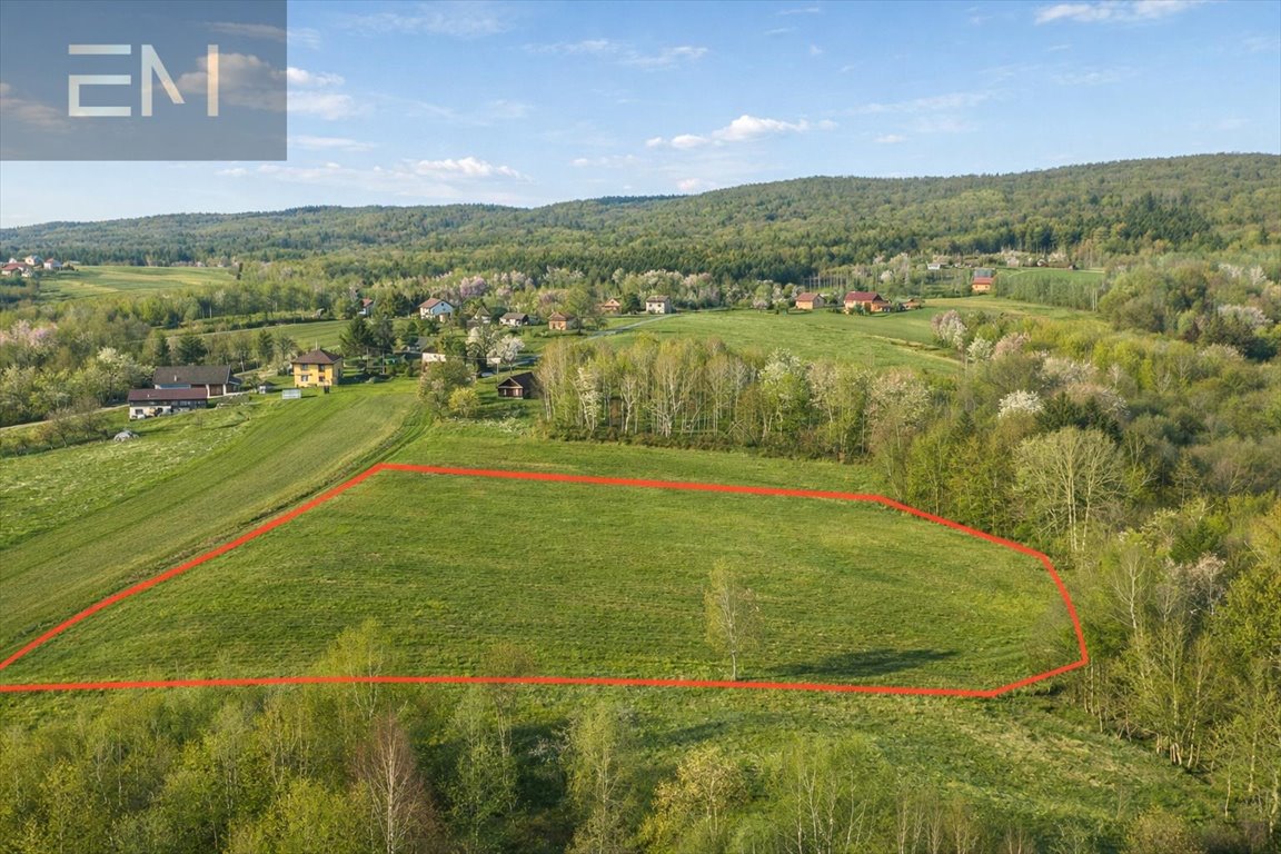 Działka 88 arów z widokiem na las i media, inwestycja Huta Gogołowska  8 800m2 Foto 1