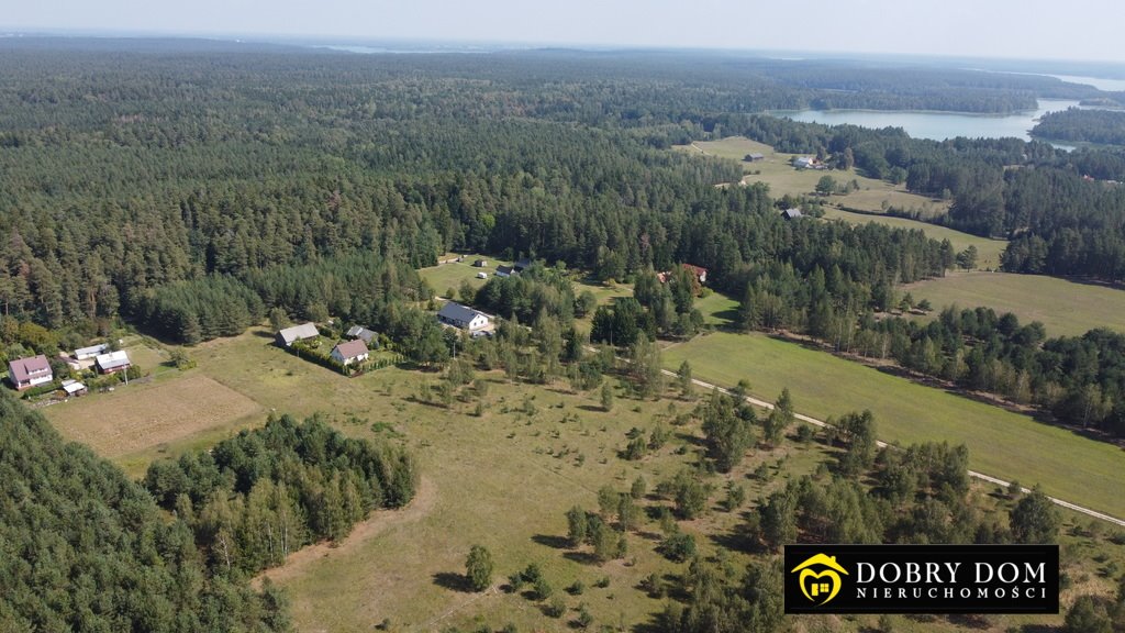 Działka budowlana na sprzedaż Gawrych-Ruda  10 200m2 Foto 2