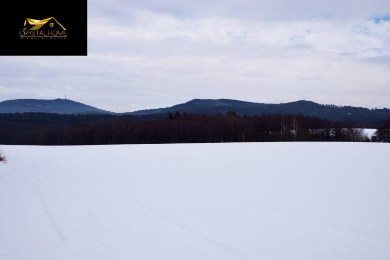 Działka rolna na sprzedaż Wiry  30 300m2 Foto 15