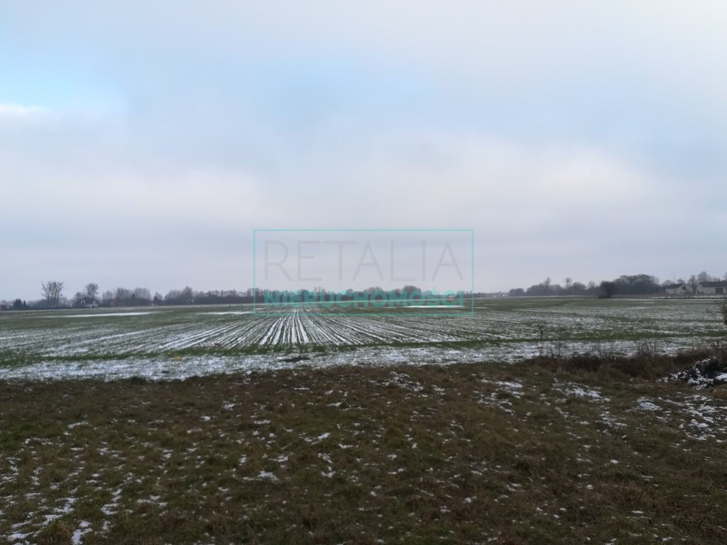 Działka 79 000 m² przy drodze gminnej w Żabach Żaby  79 000m2 Foto 1