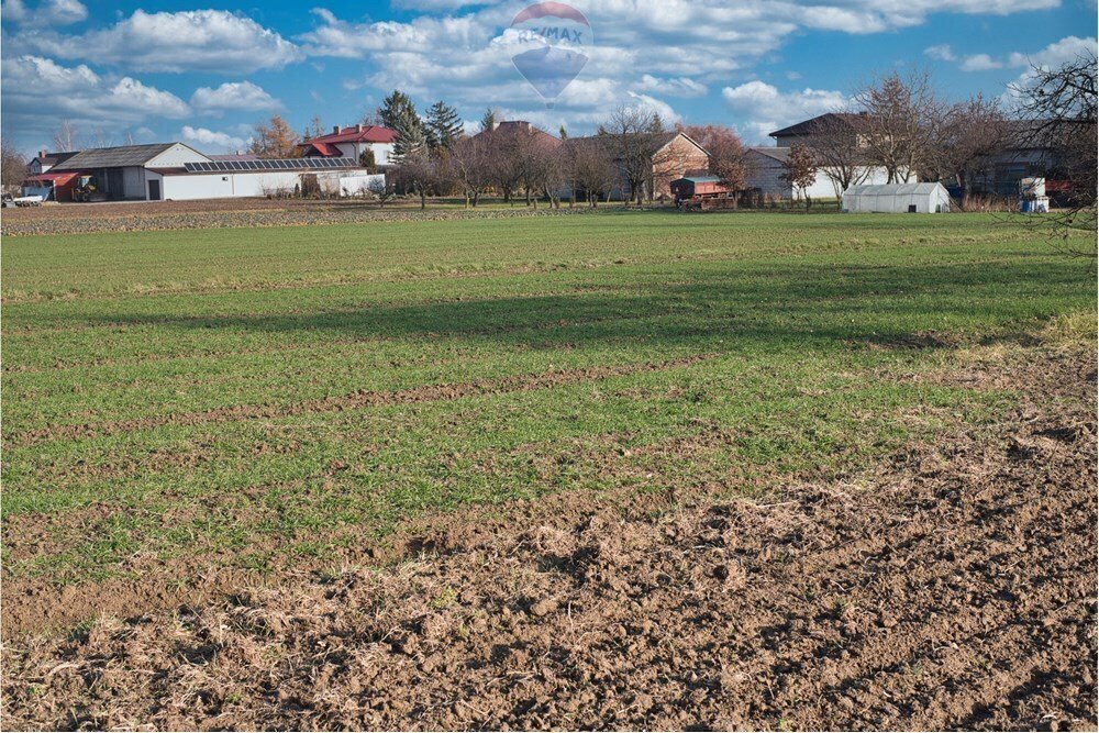 Działka przemysłowo-handlowa na sprzedaż Świdnik Duży, Świdnik Duży Drugi  7 100m2 Foto 14