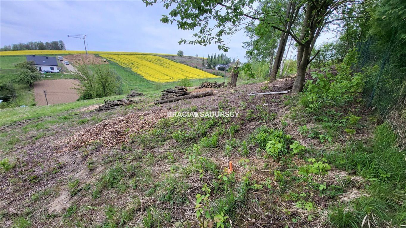 Działka budowlana na sprzedaż Michałowice, Koźlica  3 642m2 Foto 5