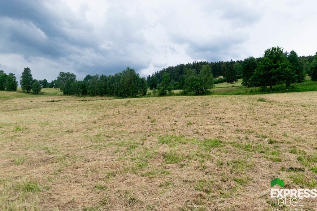 Działka budowlana na sprzedaż Stronie Śląskie, Polna  2 617m2 Foto 7