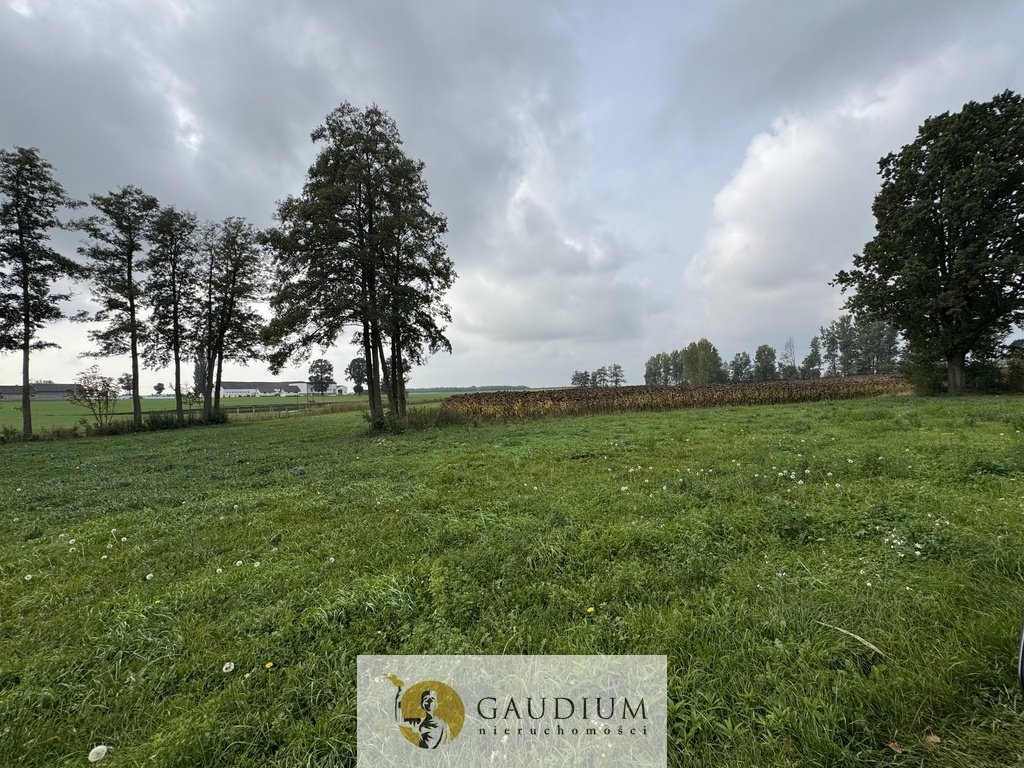 Polecam działkę 300 m² w Kozjatych z warunkami zabudowy Kozjaty  300m2 Foto 1