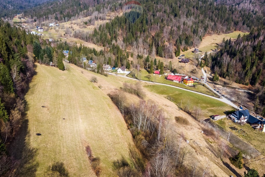 Działka budowlana na sprzedaż Łopuszna  2 255m2 Foto 11