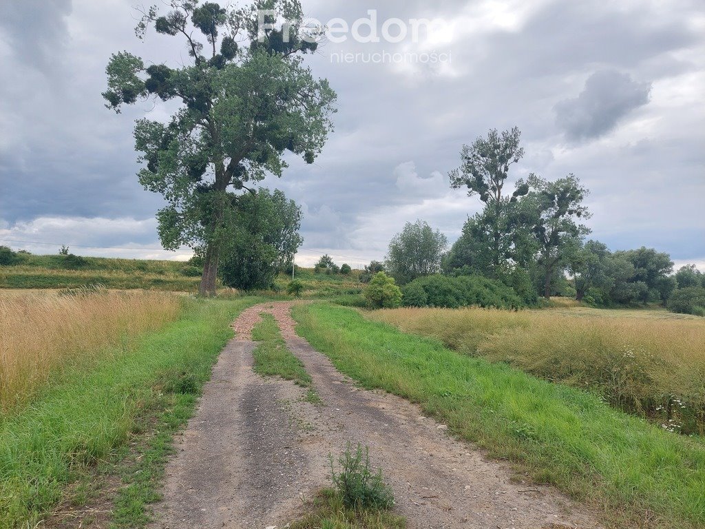 Działka rolna na sprzedaż Kamienica  9 400m2 Foto 3