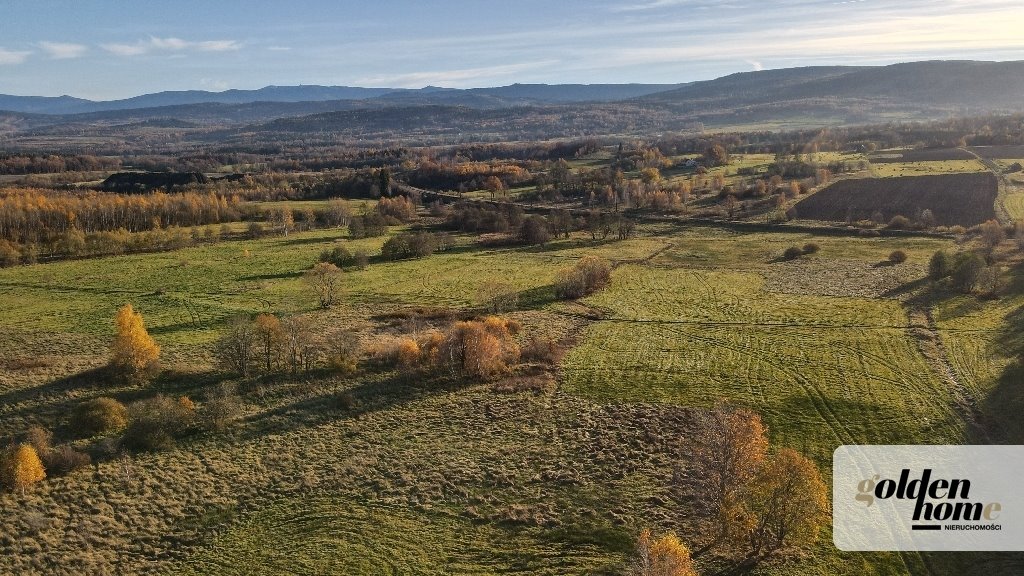 Działka 60 arów z widokiem na Izery i lasem, spokojna okolica Grudza, Grudza  6 000m2 Foto 1