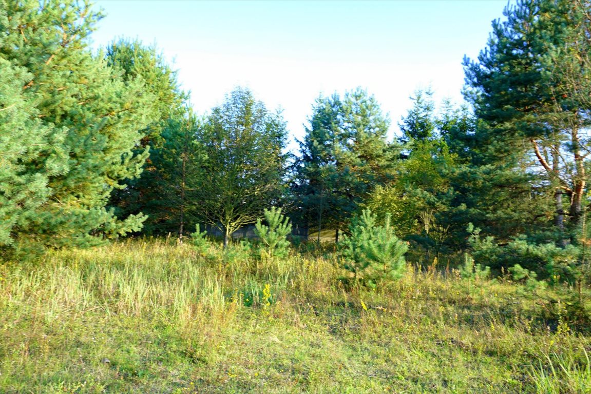 Działka komercyjna na sprzedaż Radziejowice-Parcel 7 800m2 Foto 1 Działka komercyjna na sprzedaż Radziejowice-Parcel 7 800m2 Foto 1