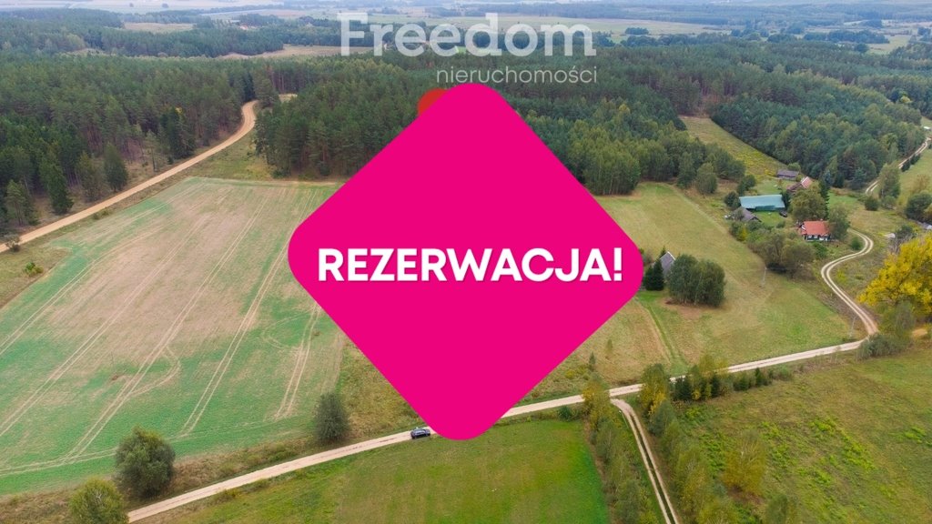 Działka siedliskowa na sprzedaż Łapicze  11 000m2 Foto 3