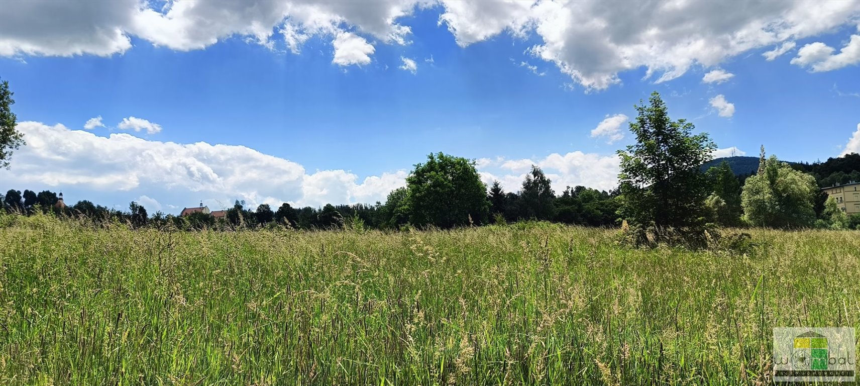 Działka budowlana na sprzedaż Szczawno-Zdrój  131 985m2 Foto 6