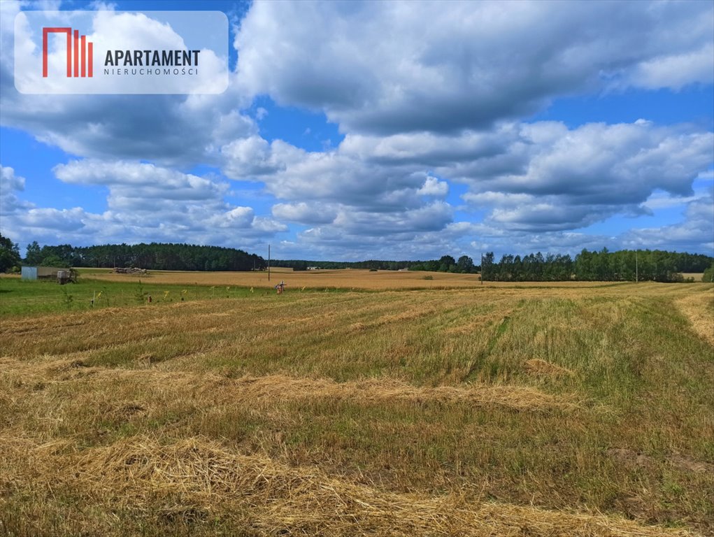 Działka budowlana na sprzedaż Miedzno  3 000m2 Foto 8