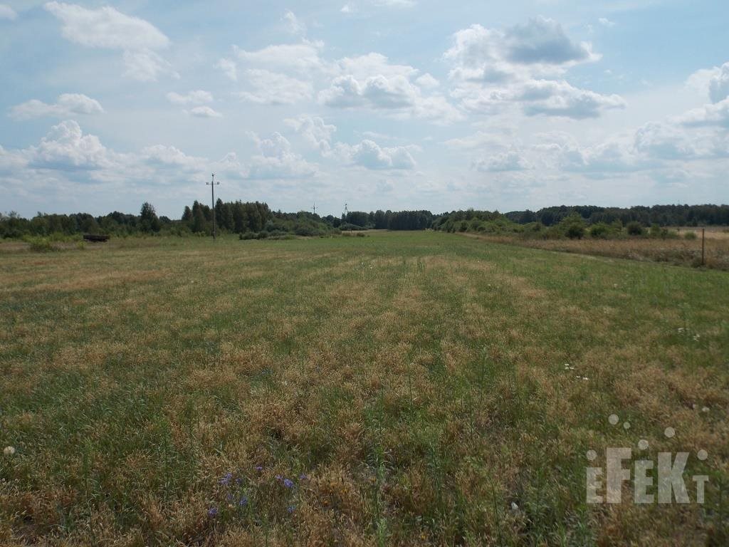 Działka budowlana na sprzedaż Długokąty  31 900m2 Foto 2