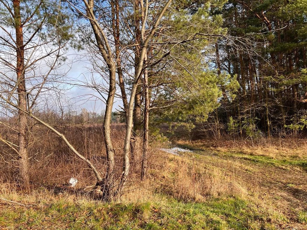 Działka inna na sprzedaż Żanęcin, Trakt Lubelski  3 885m2 Foto 1