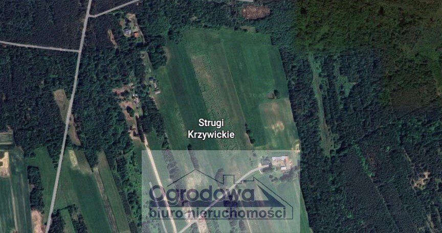 Działka 3359m2 z WZ, pod zabudowę, drzewa, podział Strugi Krzywickie  3 359m2 Foto 1