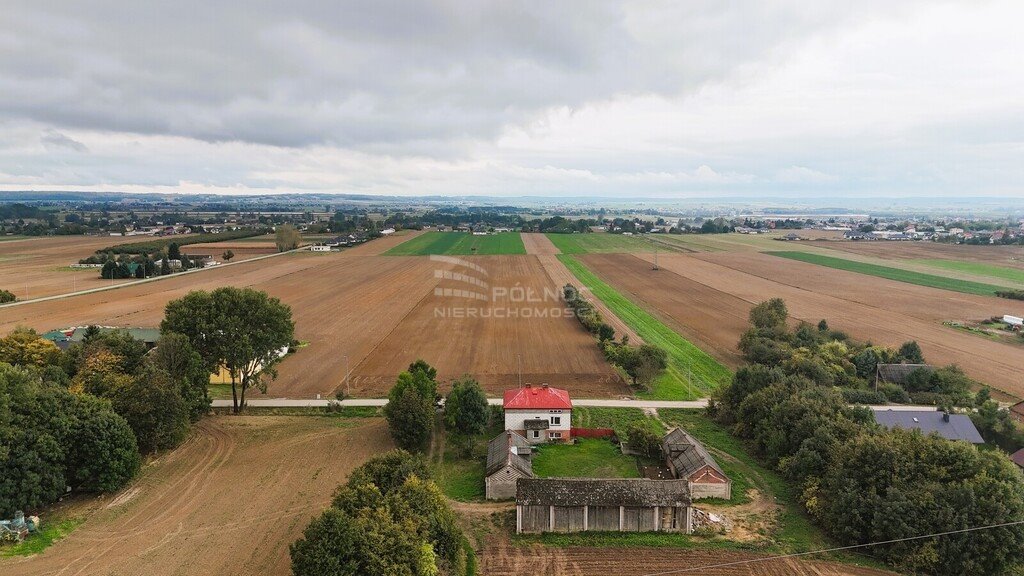 Działka budowlana na sprzedaż Jatutów  2 900m2 Foto 5