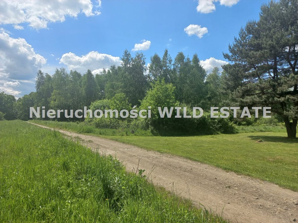 Działka rolna na sprzedaż Lesko, Wola Postołowa  11 300m2 Foto 7