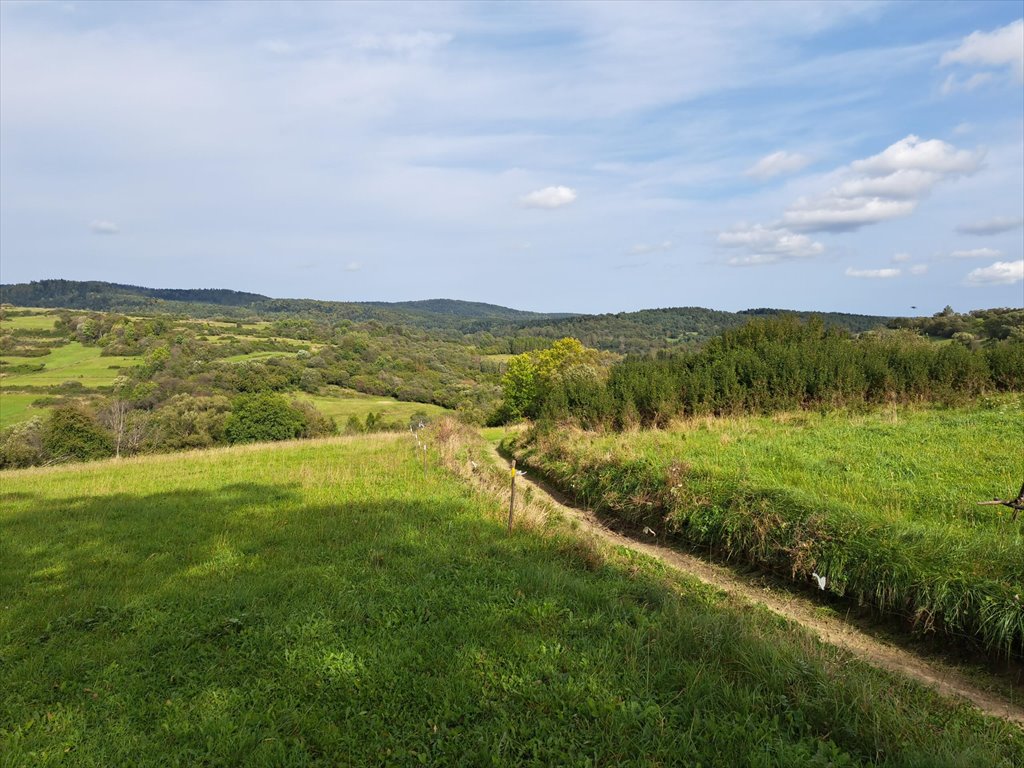 Działka rolna na sprzedaż Posada Jaśliska  9 900m2 Foto 7