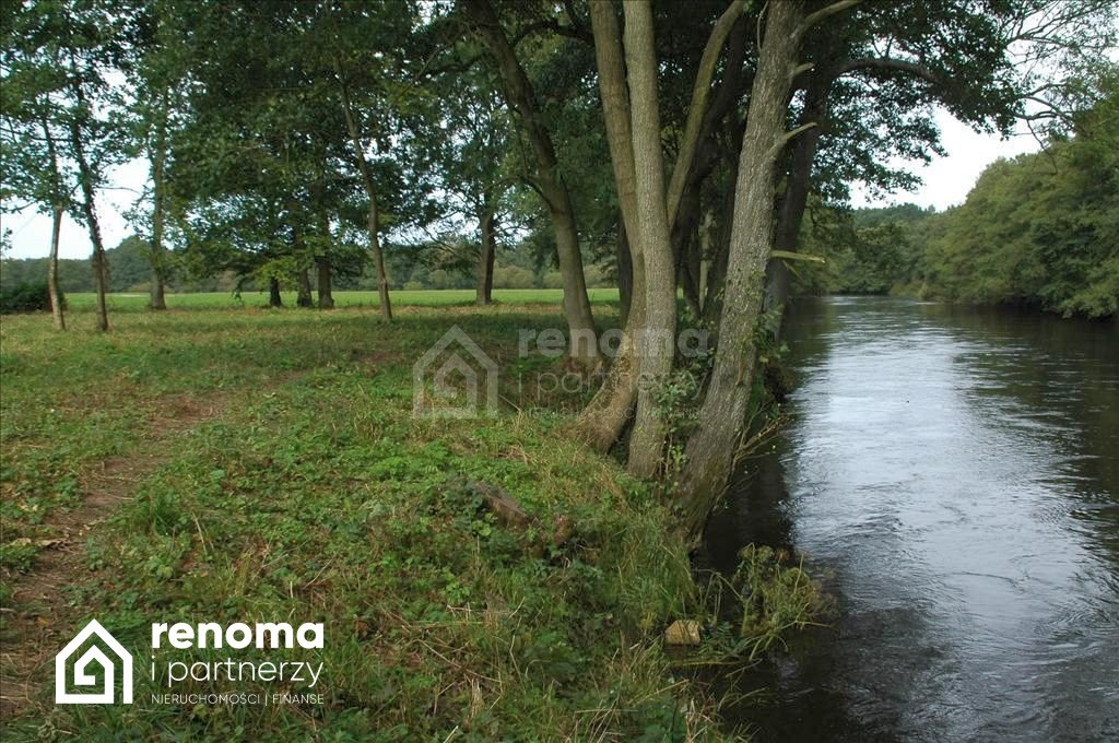 Działka gospodarstwo rolne na sprzedaż Rościęcino  16 168m2 Foto 6