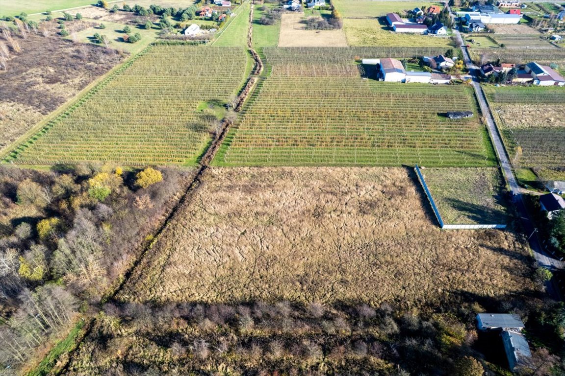 Działka budowlana na sprzedaż Stachowo, Sadowa  1 700m2 Foto 1