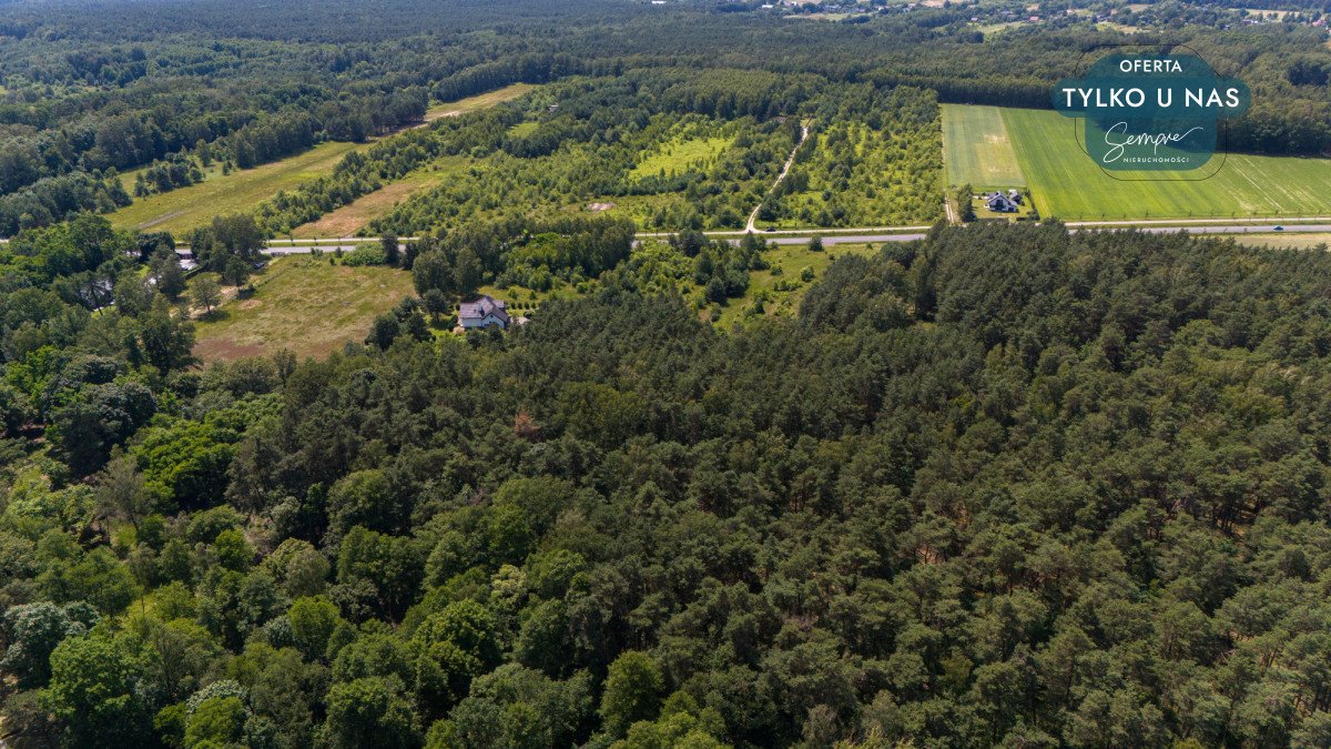 Działka budowlana na sprzedaż Huta Dłutowska, Pabianicka  17 512m2 Foto 10