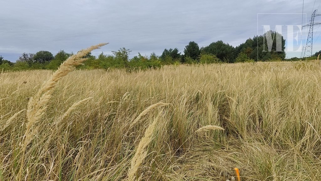 Działka rolna na sprzedaż Rurzyca  1 117m2 Foto 8