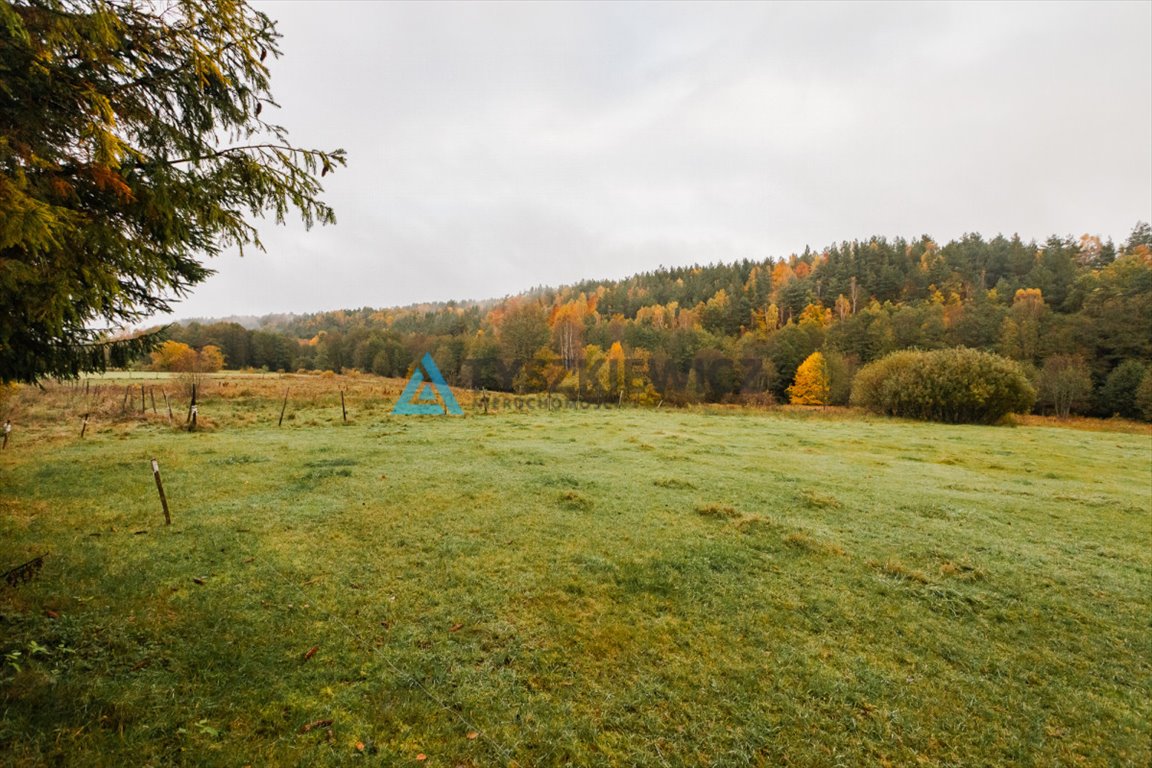 Działka rolna na sprzedaż Tłuczewo  13 493m2 Foto 12