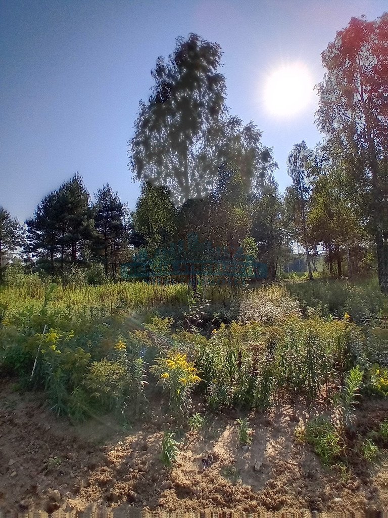 Działka budowlana na sprzedaż Izabelin-Dziekanówek  1 200m2 Foto 2