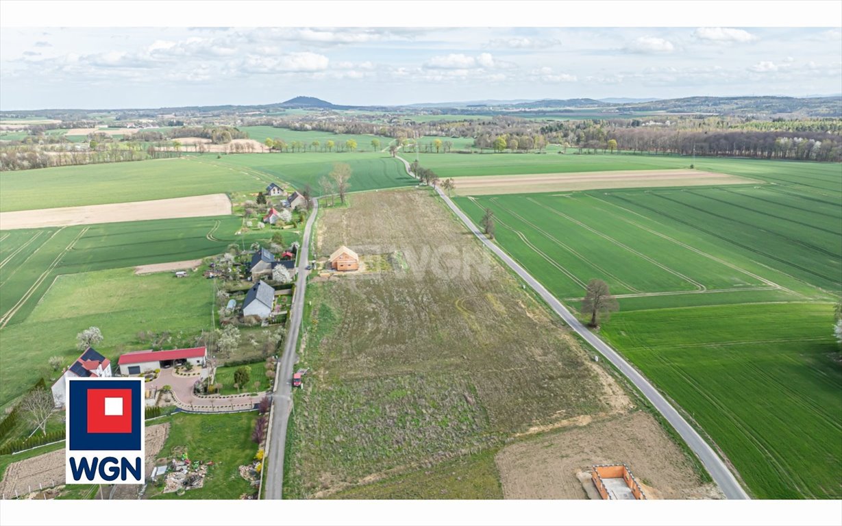 Działka budowlana na sprzedaż Żeliszów, Żeliszów  1 304m2 Foto 8