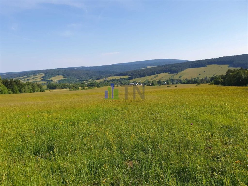 Do sprzedania działka 80 000 m² z możliwością zabudowy w Beskidach Skwirtne  80 000m2 Foto 1