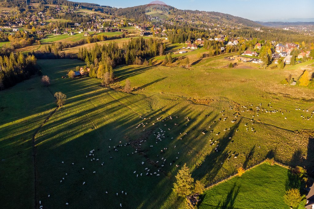 Działka rolna na sprzedaż Kościelisko  4 107m2 Foto 14