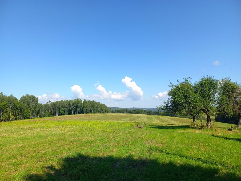 Działka budowlana na sprzedaż Lutcza  96 200m2 Foto 8