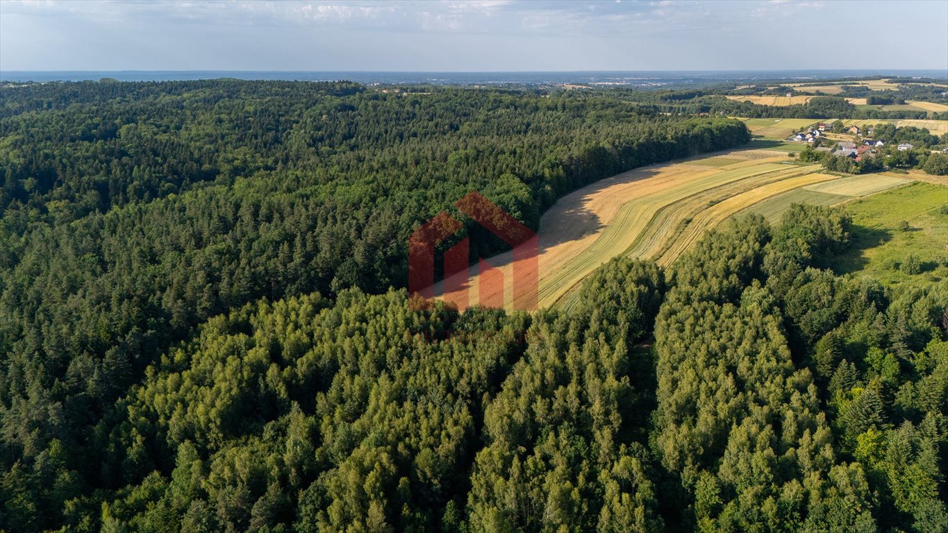 Działka 1,3 ha z lasem i możliwością budowy domu Gnojnica  13 000m2 Foto 1