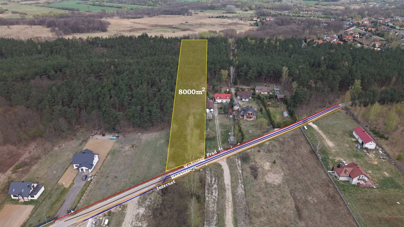 Do sprzedania działka 8 000 m² z lasem i możliwością zabudowy Augustówek  8 000m2 Foto 1