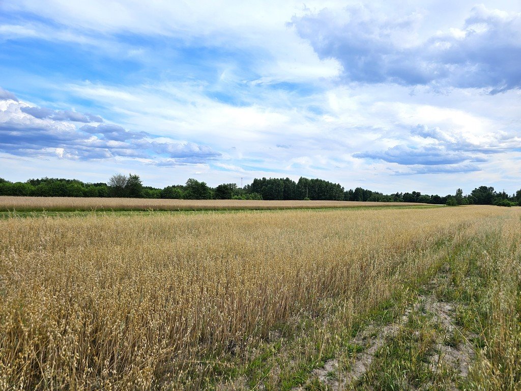 Działka inna na sprzedaż Leszkowice  21 188m2 Foto 3