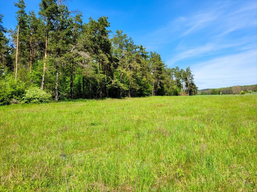 Działka budowlana na sprzedaż Osowa  18 700m2 Foto 6