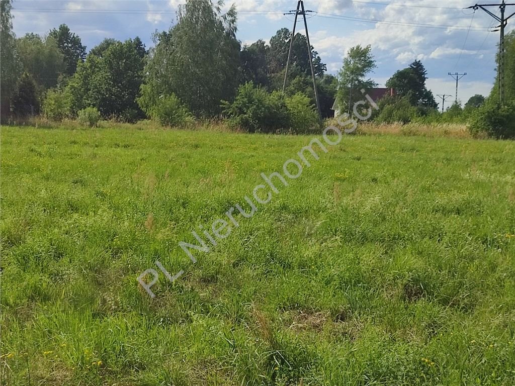 Działka budowlana na sprzedaż Młochów  2 680m2 Foto 1