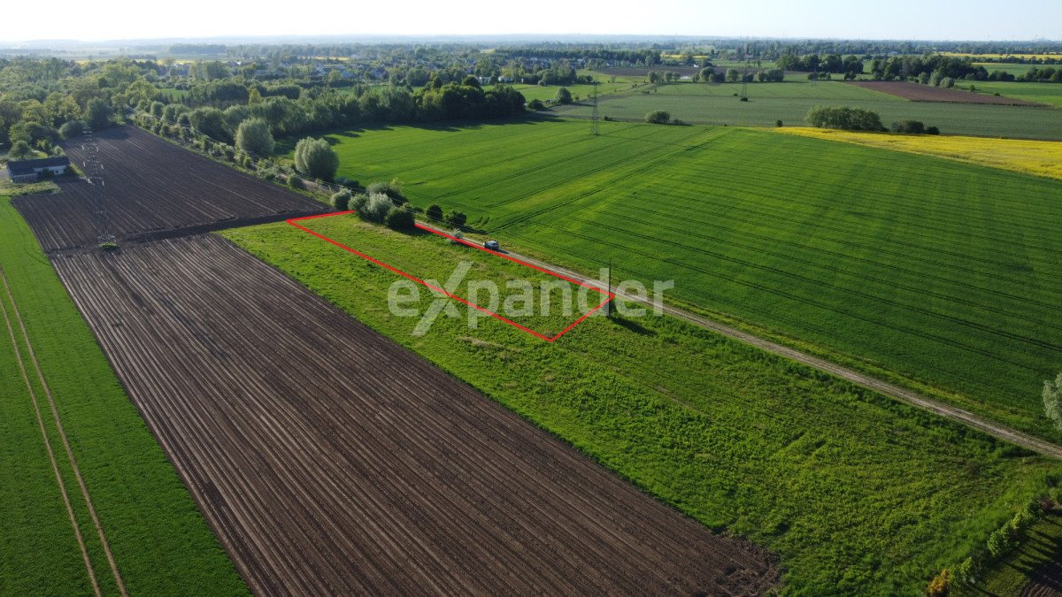 Działka budowlana na sprzedaż Suchy Dąb  3 000m2 Foto 1