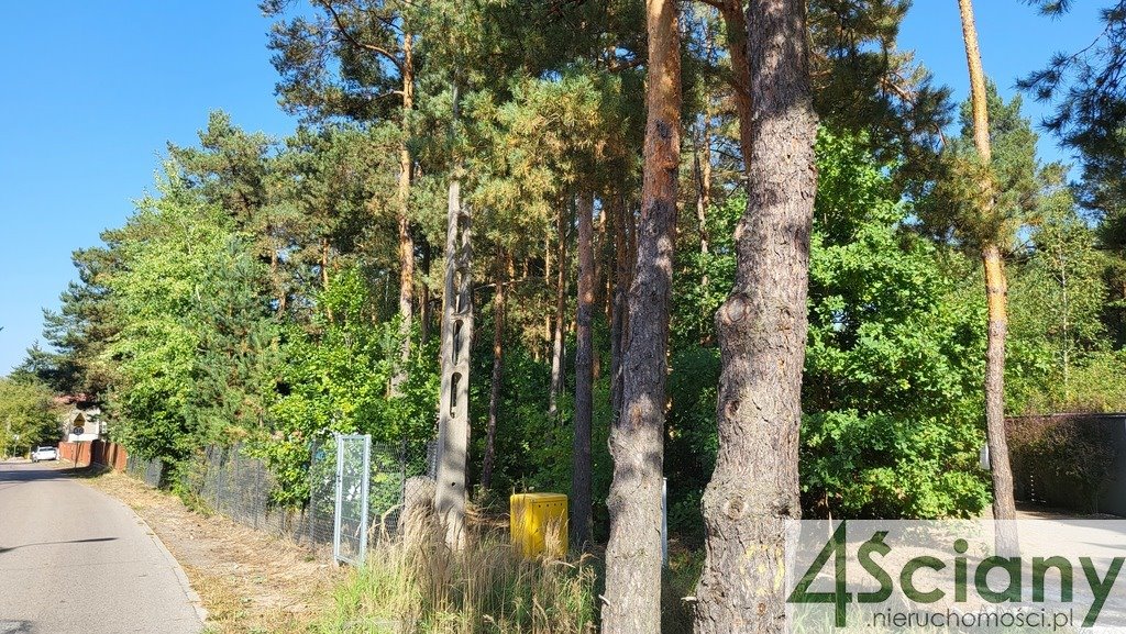 Działka leśna z prawem budowy na sprzedaż Truskaw  2 000m2 Foto 5