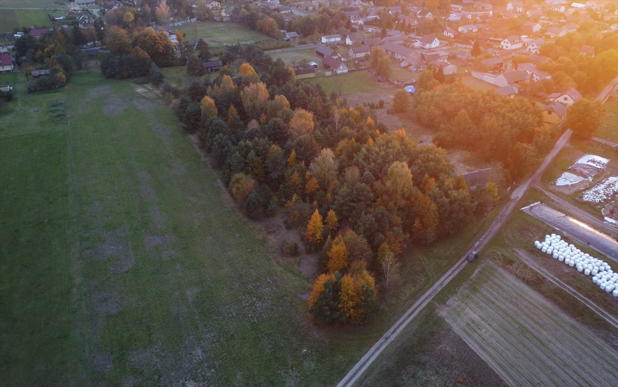 Działka budowlana na sprzedaż Cielętniki  13 500m2 Foto 13